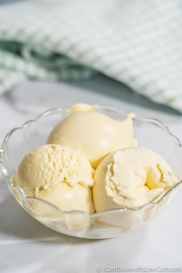 Bowl of Low Carb Vanilla Ice Cream