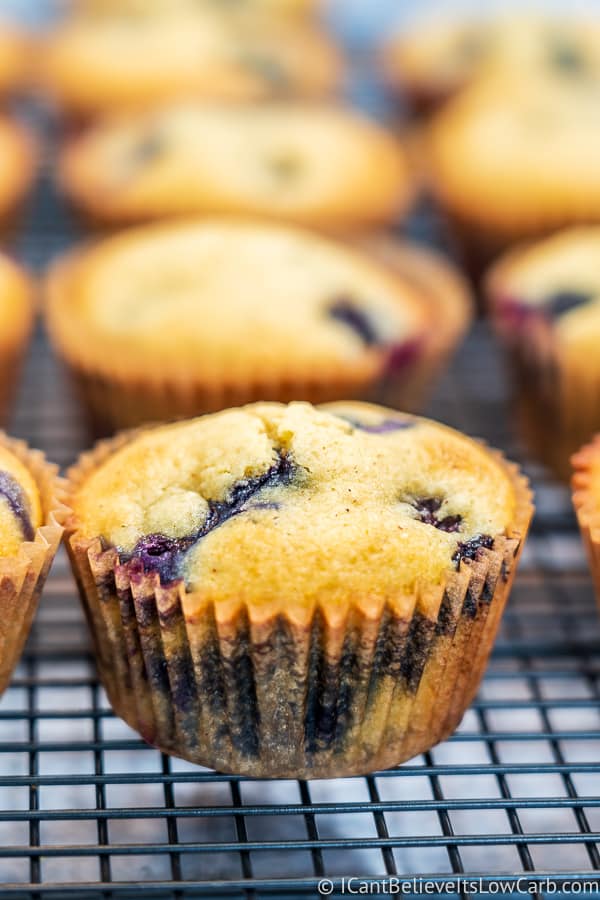 Best Low Carb Keto Blueberry Muffins