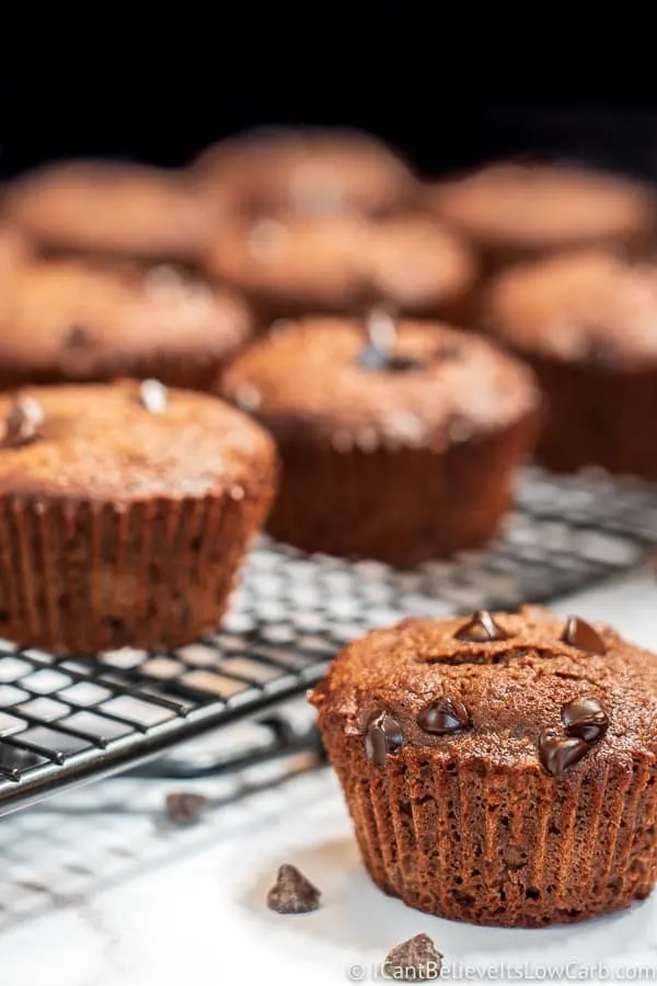 Sugar-Free Chocolate Muffins