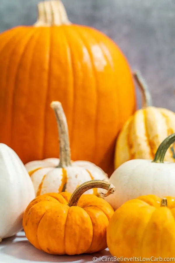 Small pumpkins in front of a large pumpkin