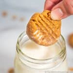Best Low Carb Peanut Butter Cookies