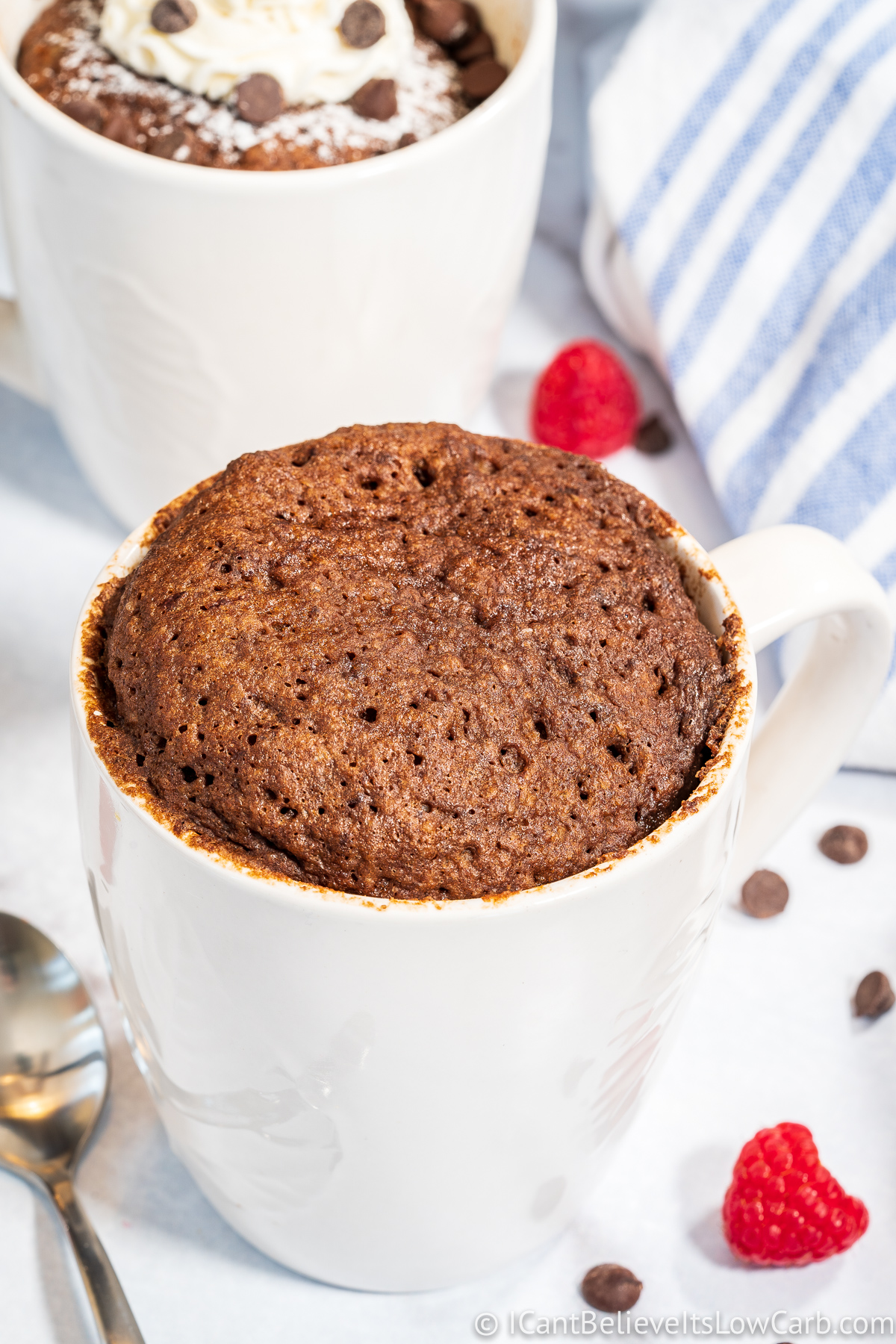 BEST Keto Chocolate Mug Cake | Low Carb Cake in a Mug