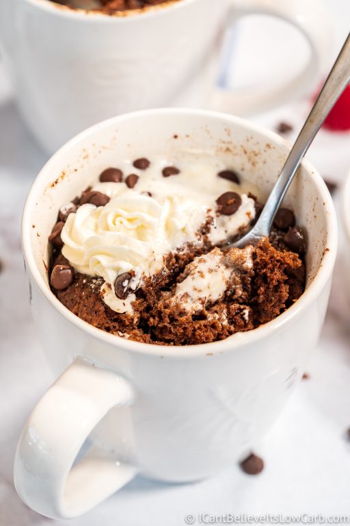 BEST Keto Chocolate Mug Cake | Low Carb Cake in a Mug