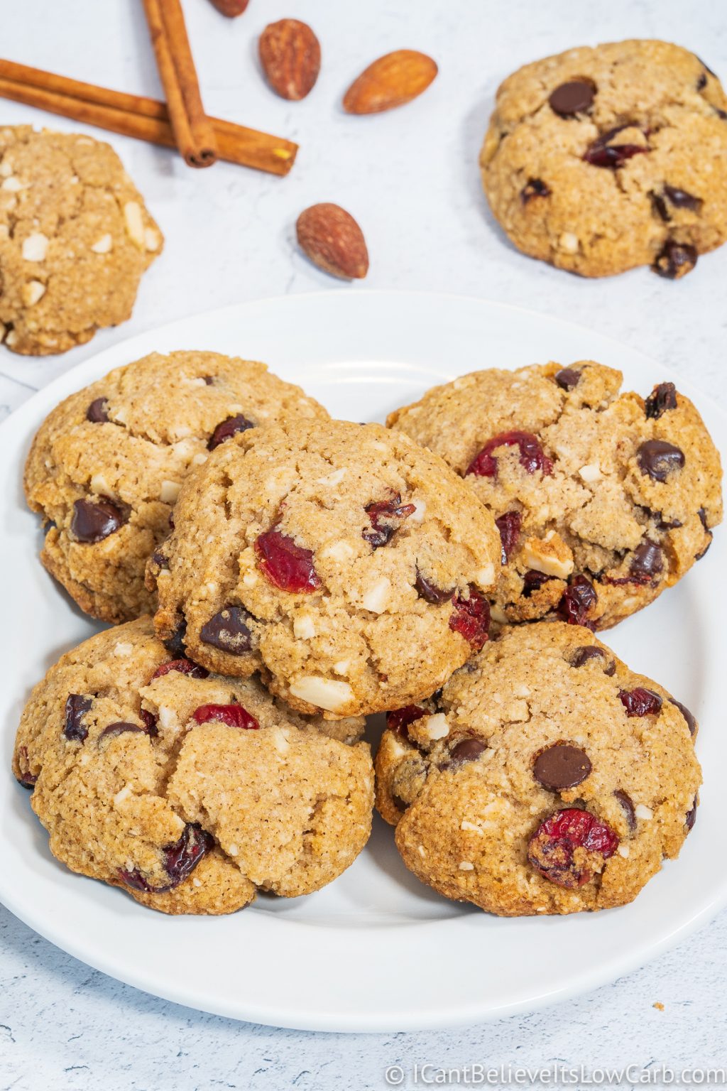 SugarFree Keto Oatmeal Cookies Recipe Low Carb & GlutenFree